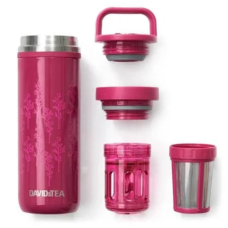 DAVIDsTEA - Wildflower Stainless Steel Matcha Maker - Travel Mug Infuser - 16 oz, 473 ml