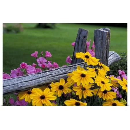 Great Big Canvas - Pink and Yellow Flowers Art Print - 48x32, Size: 48 x 32