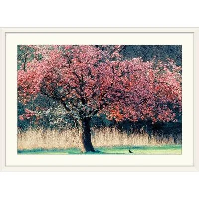 Anjelique Me and My Tree& Lars Van De Goor Photographic Print Winston Porter Format: White Frame - Size: 28x22 H x 38x22 W x 1x22