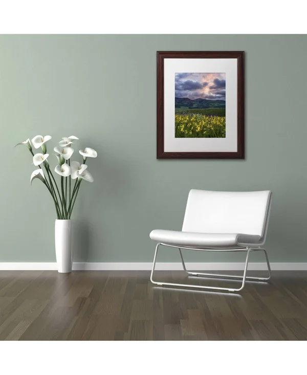Trademark Art &Awakening& by Michael Blanchette Framed Photographic Print Size: 14x22 H x 11x22 W x 0.5x22 D, Matte Color: White