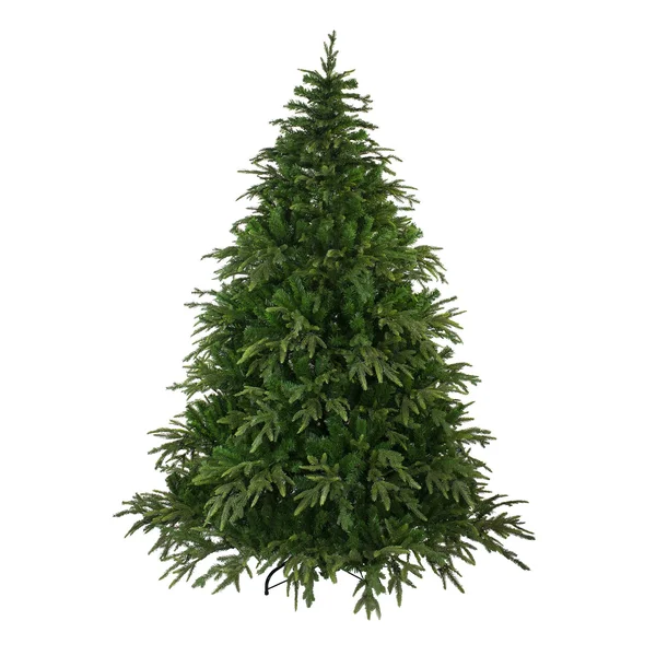 Northlight 7.5' Roosevelt Fir Artificial Christmas Tree - Unlit