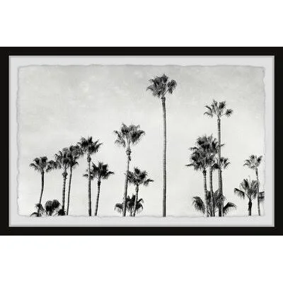Wrought Studio 'Palm Trees'' Framed Photographic Print - Size: 8 inch H x 12 inch W x 1.5 inch D, Gray