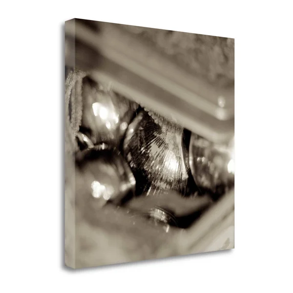 Holiday - 4 by Alan Blaustein Fine Art Giclee Print on Gallery Wrap