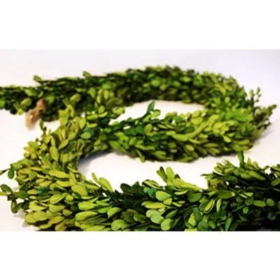 Preserved 6' Garland The Holiday Aisle