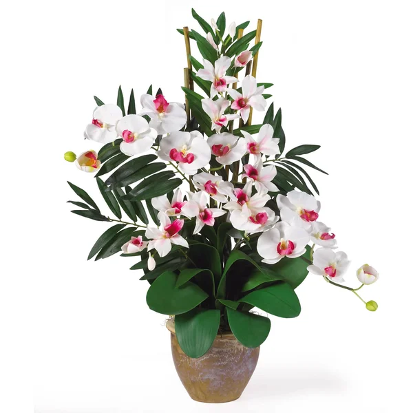 Nearly Natural Double Phal/Dendrobium Silk Flower Arrangement