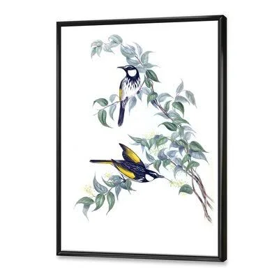 Vintage Australian Birds on A Branch - Painting on Canvas East Urban Home Format: Black Floater Frame, Size: 32x22 H x 24x22 W x