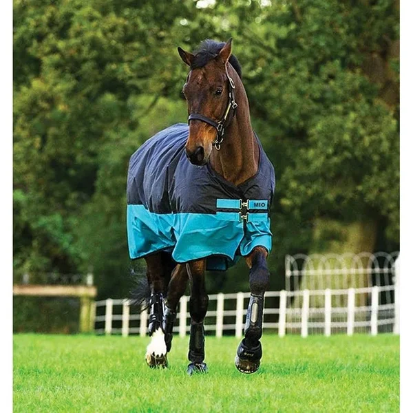 Mio Lite Turnout Sheet