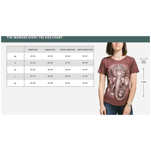 Lion Warrior Adult Hoodie Sweatshirt