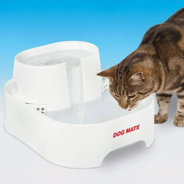 Dog Mate Large Fresh Water Drinking Fountain for Dogs and Cats