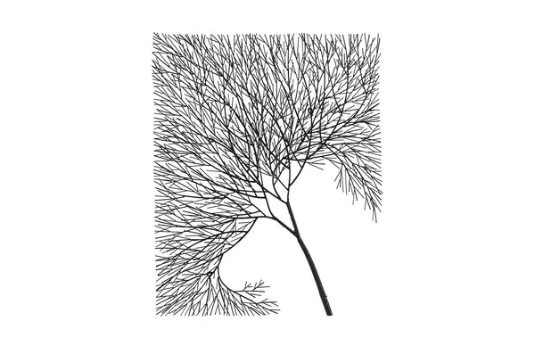 Wire Tree Wall D閏or Phillips Collection Size: 21x22 H x 20x22 W x 2x22 D