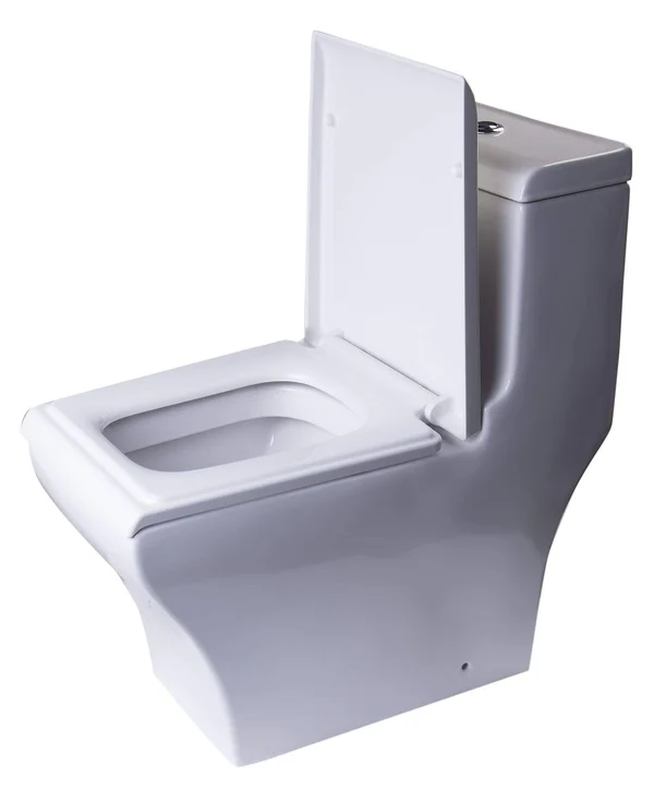 Eago TB356 Dual Flush One Piece Eco-Friendly High Efficiency Low Flush Ceramic Toilet