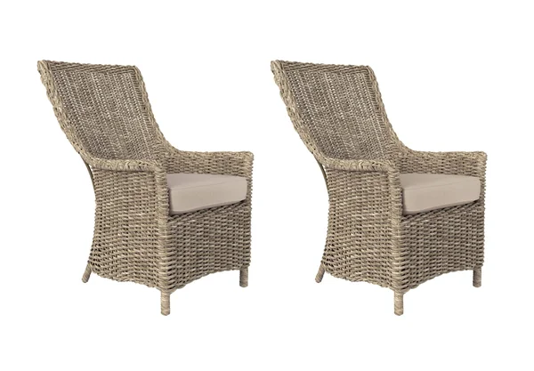 Allen + Roth Buchan Bay Set of 2 Wicker Yellow Metal Frame Stationary Dining Chair(s) with White Cushioned Seat, FRS60761