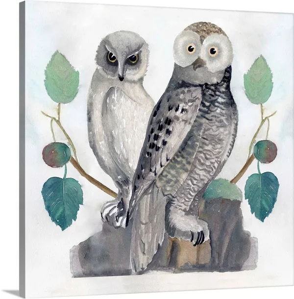 Traditional Owls I - Canvas Wall Art, 20x20, Great Big Canvas