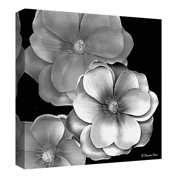 Masterpiece Art Gallery Black & White Magnolia by Frannie Funn Canvas Art Print 24 inch x 24 inch