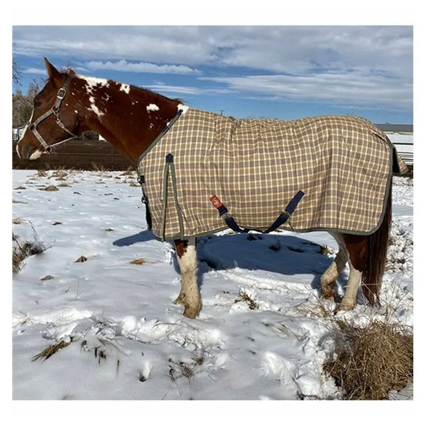 Baker Medium Weight Turnout Blanket 200 Gram
