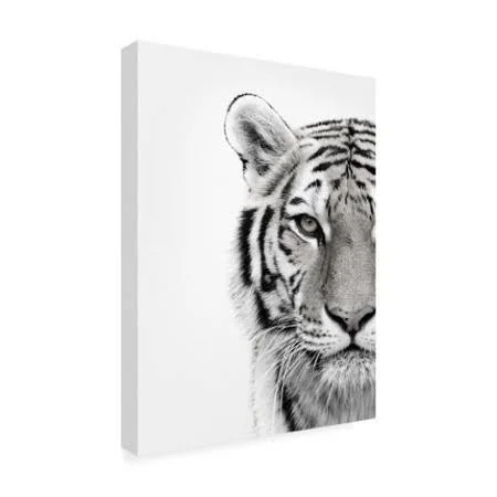 Trademark Fine Art Ic01204-C2432Gg Design Fabrikken 'White Tiger Fabri