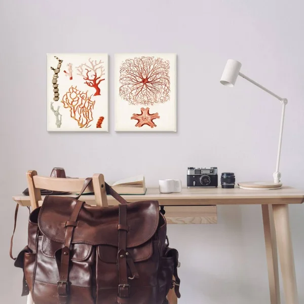 Collage of Unique Ocean Coral Red Brown - 2 Piece Graphic Art Print Set Stupell Industries Format: Gray Framed, Size: 14x22 H x