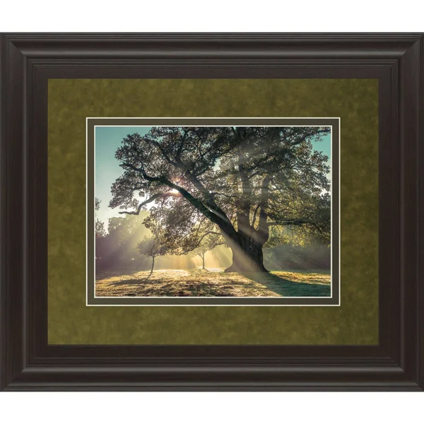 Green - Blue, and Yellow Breaking Through Framed Print Wall Art 40x22 x 34x22