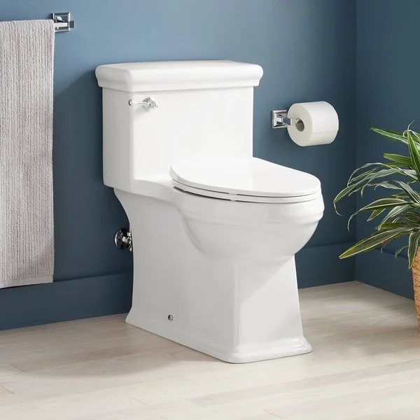 Signature Hardware Key West 1.28 GPF Elongated One Piece ADA Compliant Skirted Toilet with Seat in White 447352
