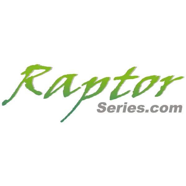 Raptor Series 6in Oval Wheel to Wheel Nerf Bars