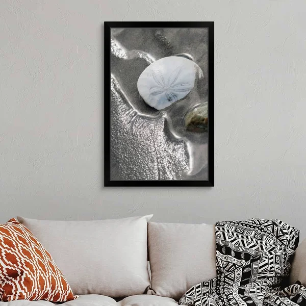 Sand Dollar, Black Framed Wall Art, 24x36, Great Big Canvas