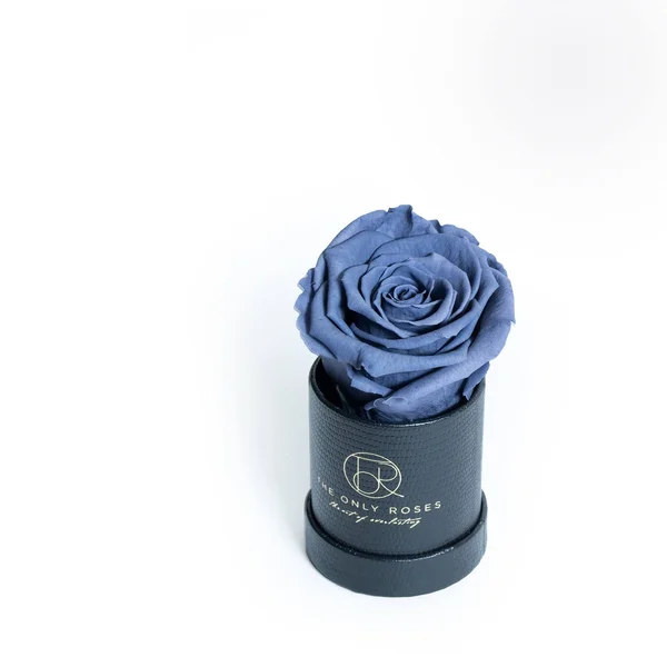Single Gray Everlasting Preserved Rose in Leather Petite Round Shaped Rose Box, Rose Hat Box, Preserved Rose, Forever Roses, Ever