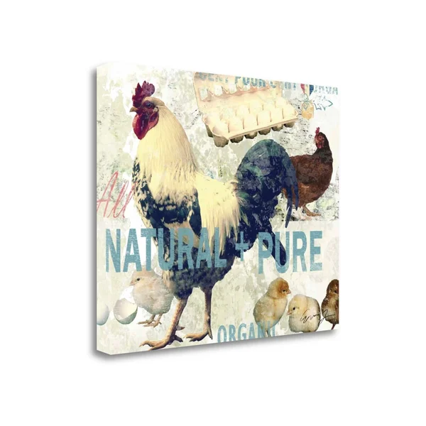 Tangletown Fine Art Natural and Pure by Eric Yang - Giclee Print on Gallery Wrap Canvas, 24x22x20x22
