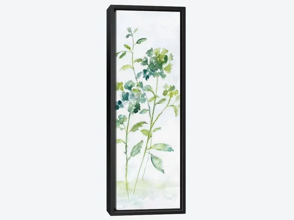 Panoramic Framed Canvas Art - Meadow Silhouette I by Nan ( Floral & Botanical > Flowers art)