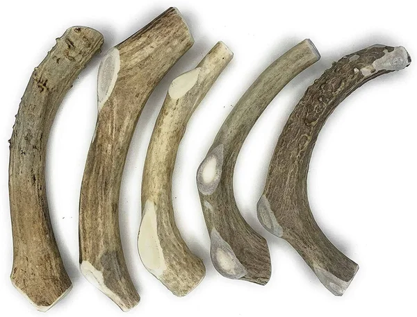 Perfect Pet Chews Deer Antler Dog Chew - Grade A, All Natural, Organic, and Long Lasting Treats - Made from Naturally Shed Antle