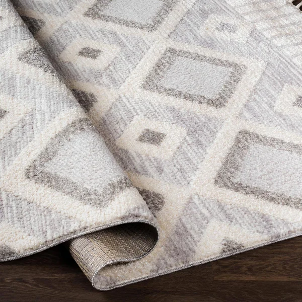 Valencia (Vlc-2312), 6& 7x22 x 9& Rug