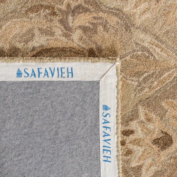 Safavieh Anatolia AN587A 3& x 5& Beige Rug