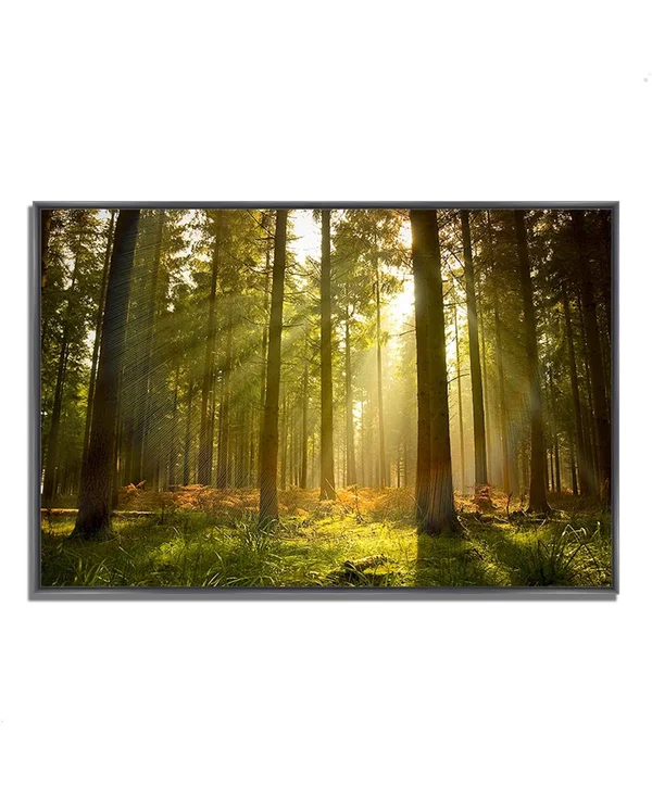 26x22 x 38x22 Forest at Dusk Fine Art Giclee Print