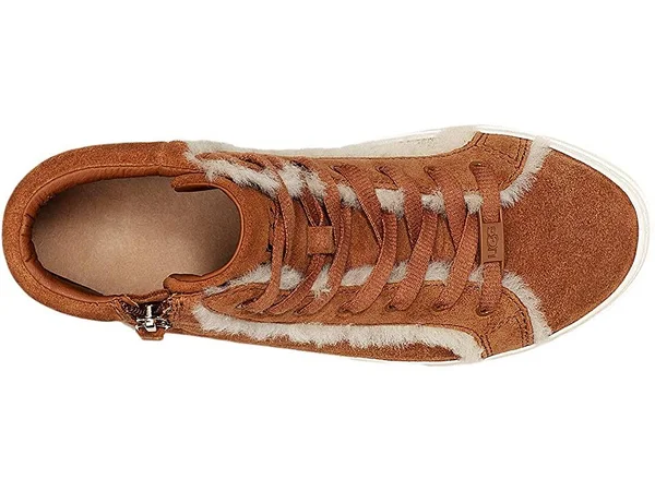 Ugg Women's Olli Heritage Sneaker Chestnut 6