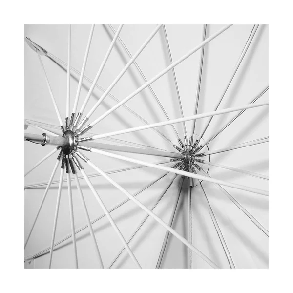 Savage 43x22 Umbrella, Black/White