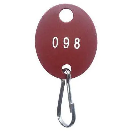 Bigbolo Key Tag Numbered 1 to 100 - Oval, PK100