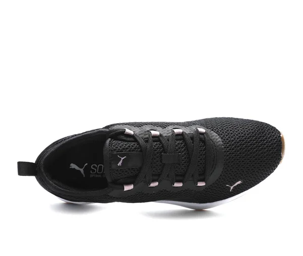 Puma Sirena Sport Fresh Women's Training Shoes, Black/Elderberry, 9