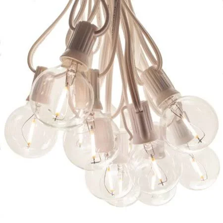 Hinman 25 ft. 25-Light Globe String Light The Holiday Aisle Bulb Shape: G40 - Cord Color: White Wire