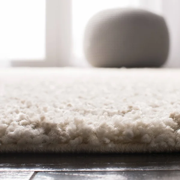 Safavieh Arizona Shag ASG744 Rug 2&3x22x14& Rug