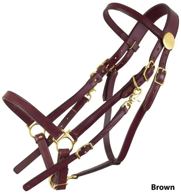 Tucker Standard Halter Bridle w/Brass Large Blk