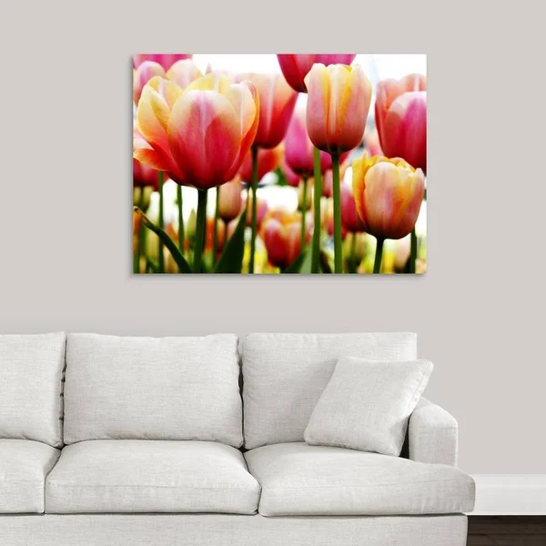 GreatBigCanvas Tulip by PhotoINC Studio Canva 30-in H x 40-in W Abstract Print on Canvas - 2529356-24-40X30