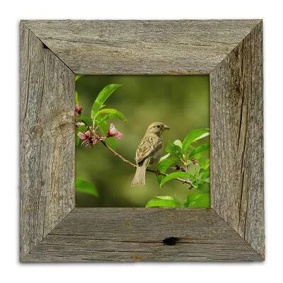 Denice Matte Wood Frame Set Loon Peak Color: Weathered Gray, Picture Size: 9x22 x 12x22