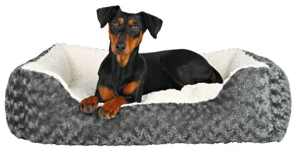 Trixie Kaline Dog Bed, 65 x 50 cm, Grey/Cream