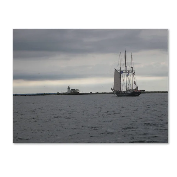 Trademark Global Monica Fleet 'Breaking Boundary' Canvas Art