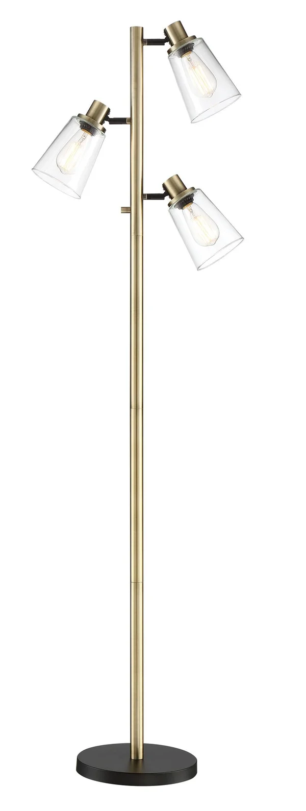 Lite Source Colinton 68 inch Floor Lamp - LS-83396AB