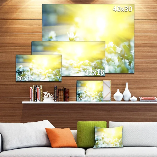 Design Art 'Beautiful White Flowers at Sunrise' Graphic Art on Wrapped Canvas