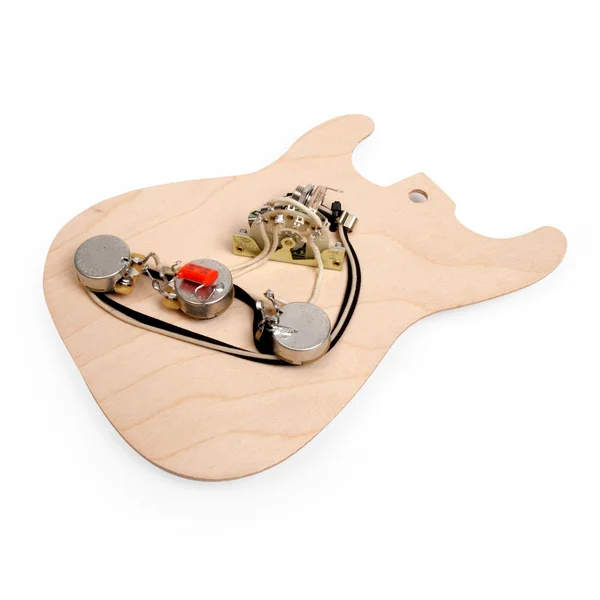 Golden Age Pre-Wired Harness for Stratocaster 1930