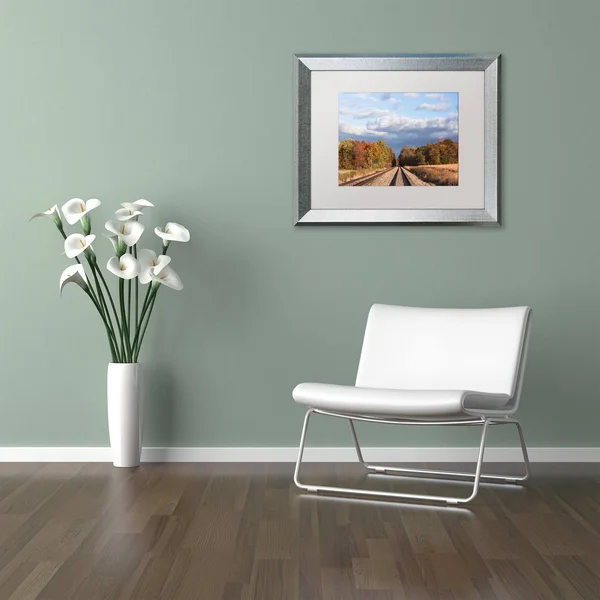 Trademark Fine Art &Wellington Tracks& by Jason Shaffer Framed Photographic Print - Size: 11x22 H x 14x22 W x 0.5x22 D - Matte Co