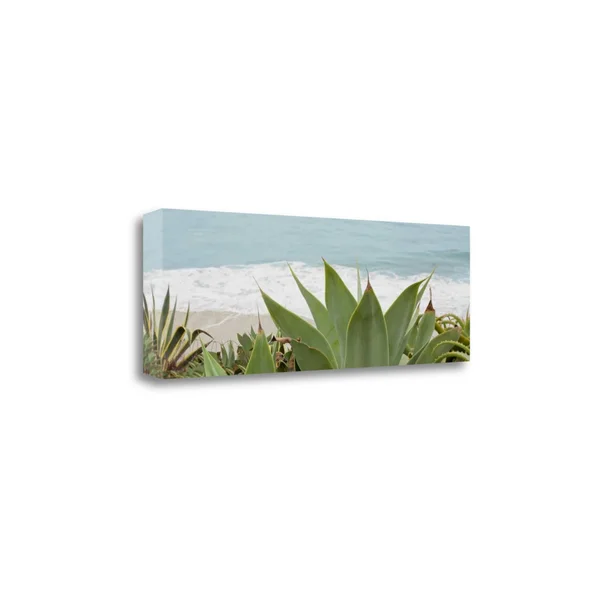 Tangletown Fine Art Untitled by Alan Blaustein - Fine Canvas Art
