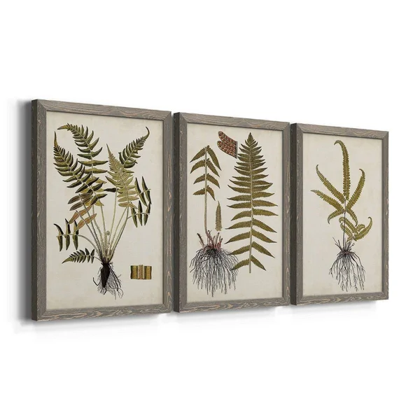Fern Botanical IV-Premium Framed Canvas - Ready to Hang - Multi-Color - 23.5X31.5 - White