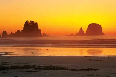 Framed Canvas Art (White Floating Frame) - Vibrant Twilight - Point of Arches, Shi Shi Beach, Olympic National Park, Washington